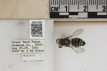 Media type: image;   Entomology 786136 Aspect: Labels